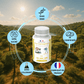 Multivitamines